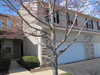 543 Shakespeare Dr, Volo IL  60030-3368 exterior