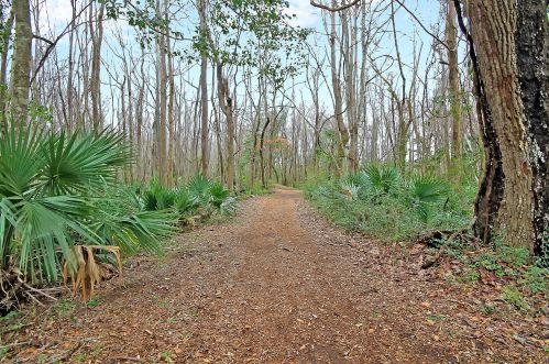 3968 Hanoverian Dr, Awendaw SC  29429 exterior
