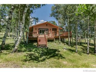 34 Fawn Dr, Bailey, CO 80421-2314