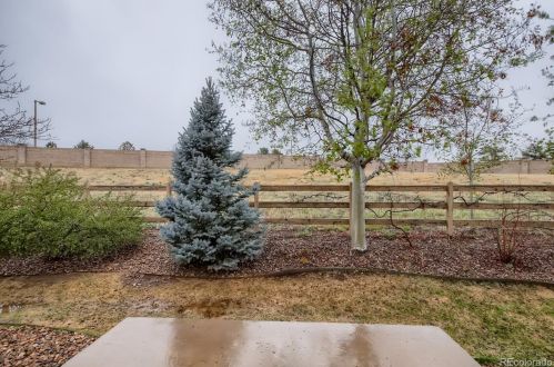 12525 Swansea Dr, Parker CO 80134-3602 exterior