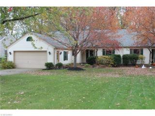 502 Greenside Dr, Concord Township, OH 44077-4800