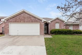 4013 Cypress Gardens Dr, Fort Worth TX  76123-1441 exterior