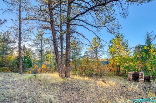 588 Coronado Dr, Deckers CO 80135-8316 exterior