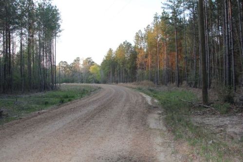 3725 Freewoods Rd, Kirby, MS 39661