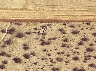 11748 Galewood St, El Mirage, CA 92301-4568
