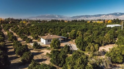 10724 Crafton Ave, Redlands, CA 92374-8216