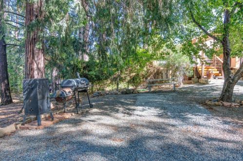 55 Meadow Gate Rd, Meadow Vista, CA 95722-9713