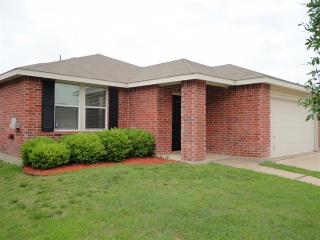 4001 Irish Setter Dr, Fort Worth TX  76123-2599 exterior