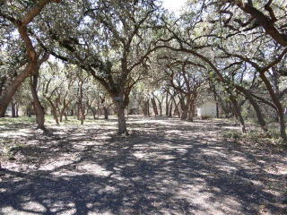 111 Walter White Rd, Leakey, TX 78873