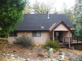 1665 Honeycomb Dr, Snowline Camp, CA 95709-9759