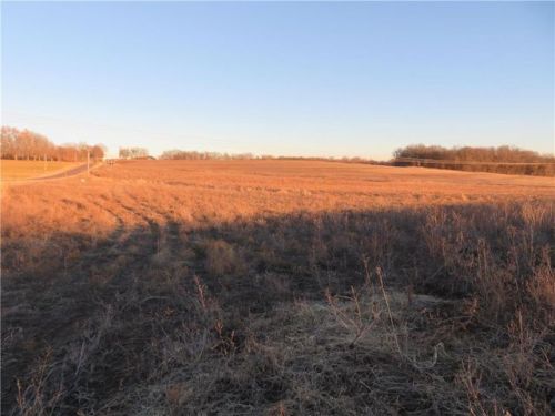 35211 Little Rd, Buckner, MO 64016-8298