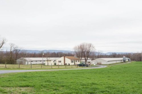 723 Wakemans Grove Rd, Edinburg, VA 22824-2047