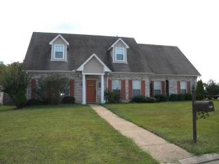 440 Abbey Woods, Brandon, MS 39047-7719