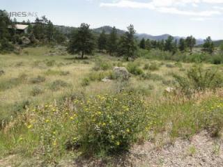 398 Bald Mountain Dr, Red Feather Lakes, CO 80536-8783