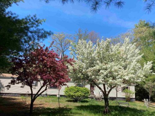 95 Martin Rd, Hillsboro, NH 03244-6037