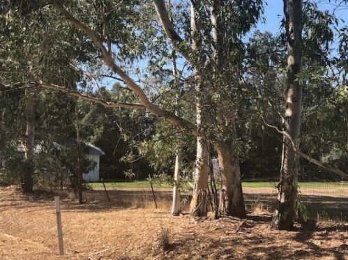 12085 Conley Rd, Clay, CA 95638-8411