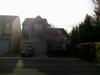 8315 Chimneycap Dr, Raleigh, NC 27613-6891