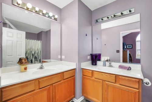 21 Lily Ct, Lemont IL  60440-3263 exterior