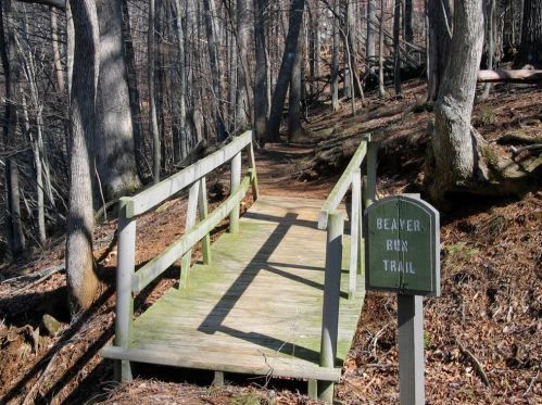 550 Fairway Dr, Big Canoe GA  30143-7946 exterior