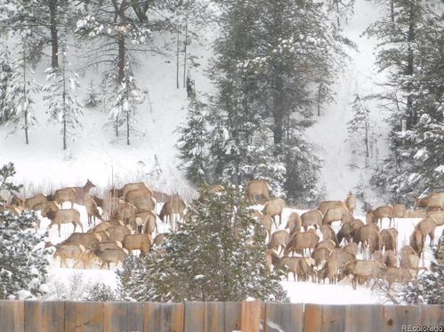 3555 Buckhorn Ln, Canon City CO 81212-8229 exterior