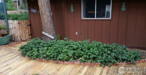 890 Fish Creek Rd, Estes Park CO 80517-5462 exterior