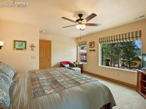 331 Panther Ct, Woodland Park CO exterior