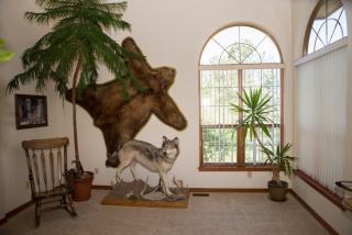 1655 Fawnwood Rd, Woodmoor CO  80132-9522 exterior