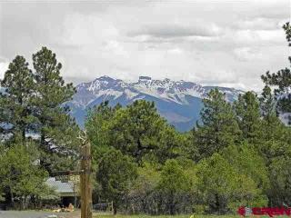 977 Marmot Dr, Ridgway, CO 81432-8912