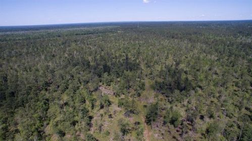 49 Highway 146, Rye, TX 77369