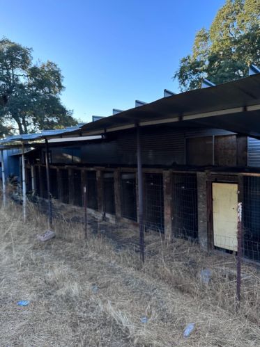 9795 Indian Creek Rd, Valley Springs, CA 95252-9019