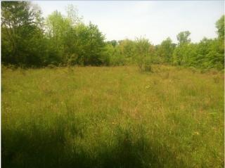 4484 Quick Rd, Peninsula, OH 44264-9706