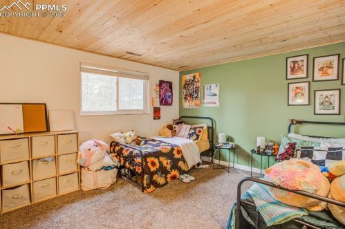 411 Evergreen Cir, Woodland Park CO 80863-2393 exterior