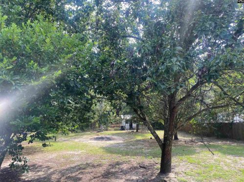 267 Betty Blvd, Lexington, SC 29073-8780