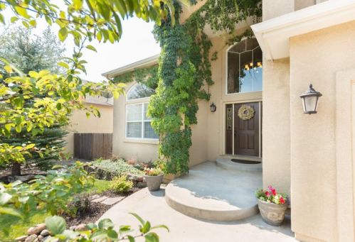 17199 Buffalo Valley Path, Woodmoor, CO 80132-7151