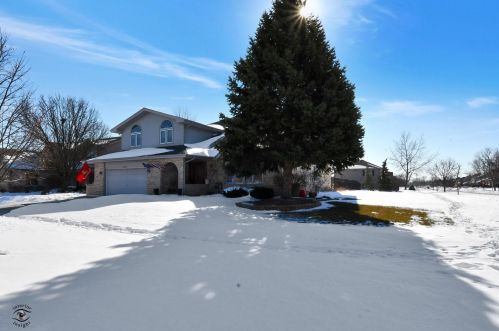 8825 Westbridge Rd, Tinley Park, IL 60487-8481