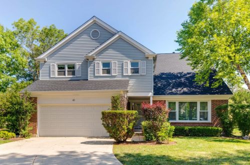 41 Chestnut Ter, Buffalo Grove, IL 60089-6620