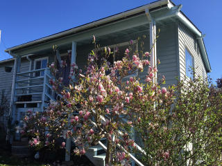 4324 Crestview Dr, Eureka, CA 95503-5819