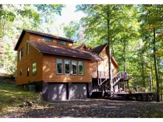 163 Woodhaven Dr, Hampton, TN 37658-3567