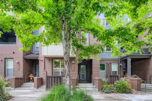 459 Reed Ct, Denver, CO 80226-3322