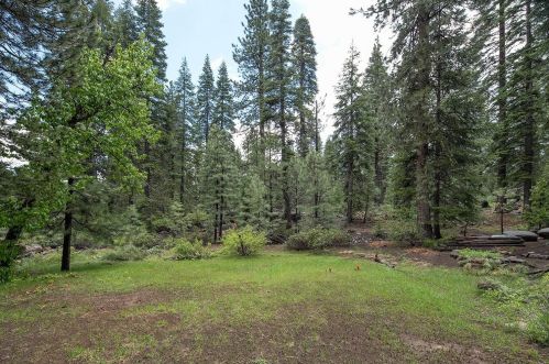 11665 Silverfir Dr, Truckee CA  96161-3207 exterior