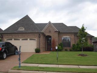 10192 Old Well Ter, Cordova, TN 38016-0149