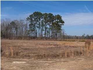 8 Sassafras Ct, Walterboro, SC 29488-6064