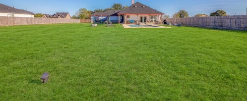 6210 Canvasback Ln, Richmond TX 77471-7505 exterior