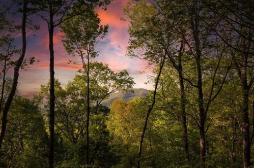 778 Walnut Mountain Rd, Ellijay, GA 30536-2693