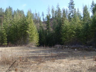 2594 Flowery Trail Rd, Chewelah, WA 99109-9505