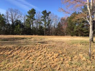 855 Saddle Club Rd, Reagan, TN 38368-1838