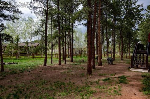 1174 Ptarmigan Dr, Woodland Park CO 80863-8005 exterior