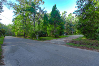153 Pinckney St, Summerville, SC 29485-7263
