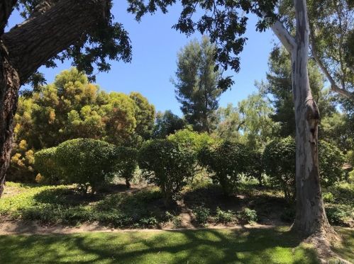 11 Summerset, Irvine, CA 92603-3754