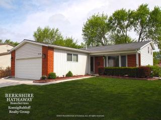 914 Bradford Ln, Schaumburg, IL 60193-2606